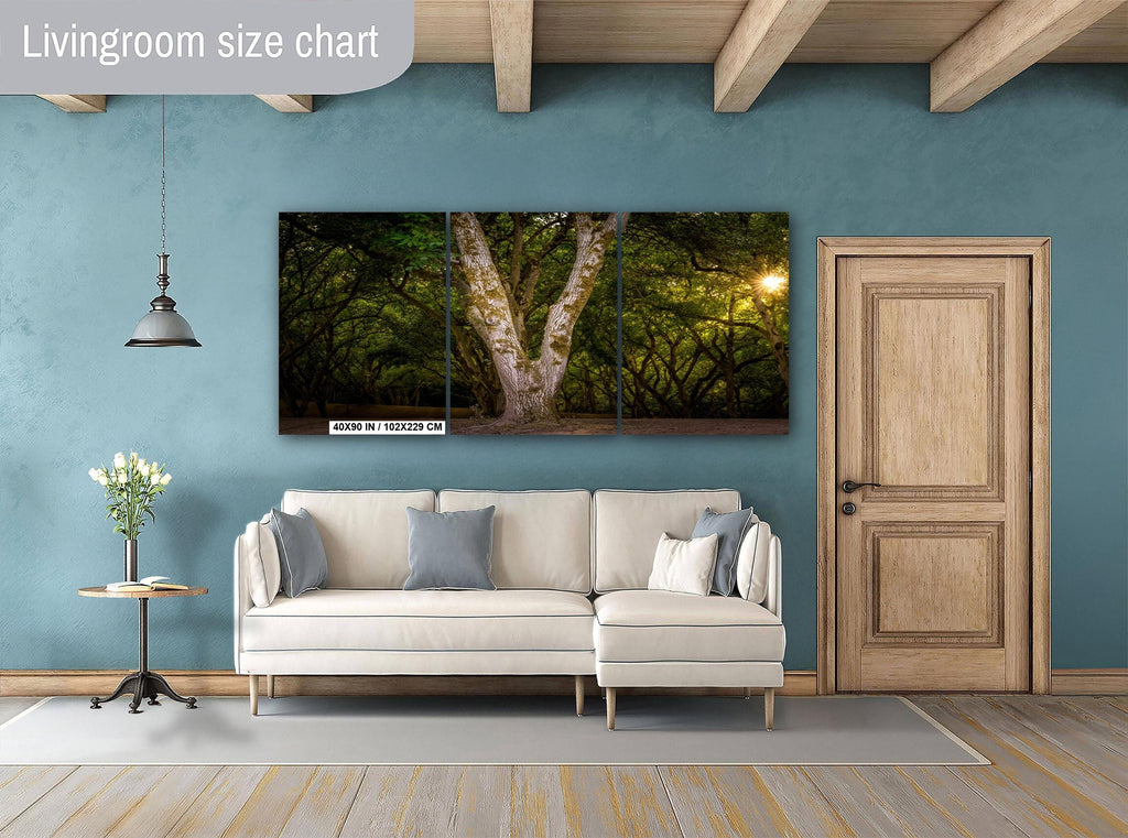 Oregon Forest Sunburst Tree Print, Pacific Northwest Nature Wall Art