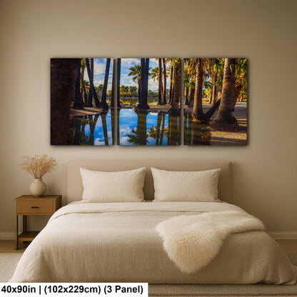 Agua Caliente Park Palm Tree Oasis Reflections - Tucson Arizona Photography Print