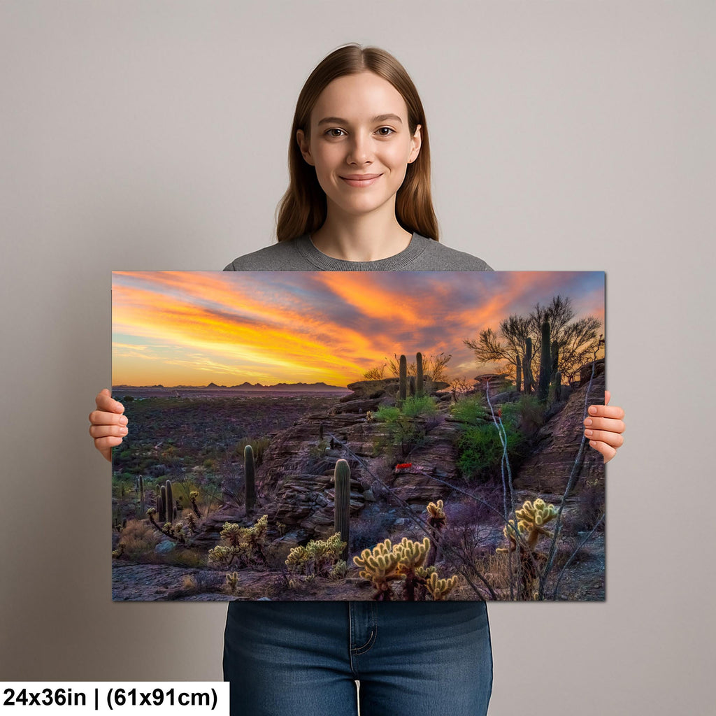 Sonoran Desert Sunset Overlook with Saguaros and Cholla Tucson Arizona Photography Print