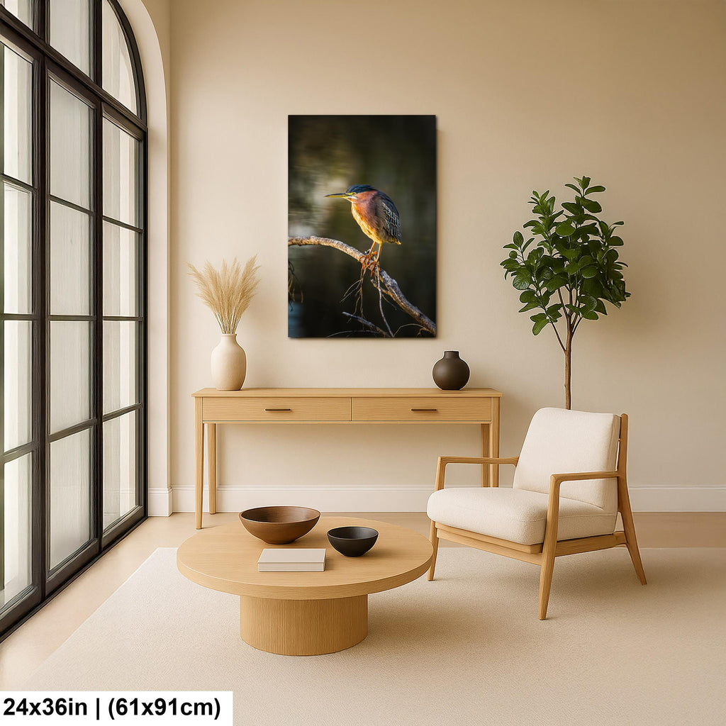 Green Heron Photography Print, Agua Caliente Park Tucson Arizona, Bird Wall Art, Nature Home Decor, Wildlife Gift