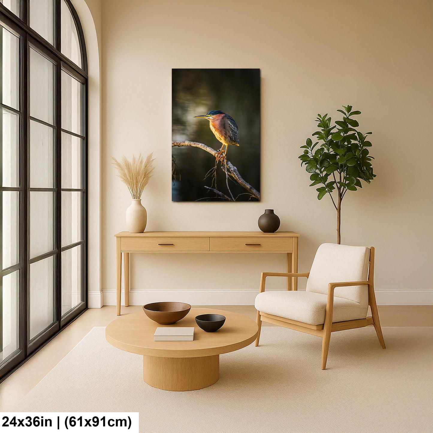 Green Heron Photography Print, Agua Caliente Park Tucson Arizona, Bird Wall Art, Nature Home Decor, Wildlife Gift