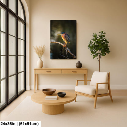 Green Heron Photography Print, Agua Caliente Park Tucson Arizona, Bird Wall Art, Nature Home Decor, Wildlife Gift