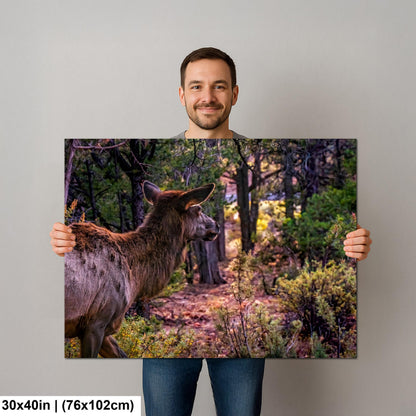 Elk In The Forest, Grand Canyon National Park Arizona, Photography Print Wall Art, Wildlife Nature