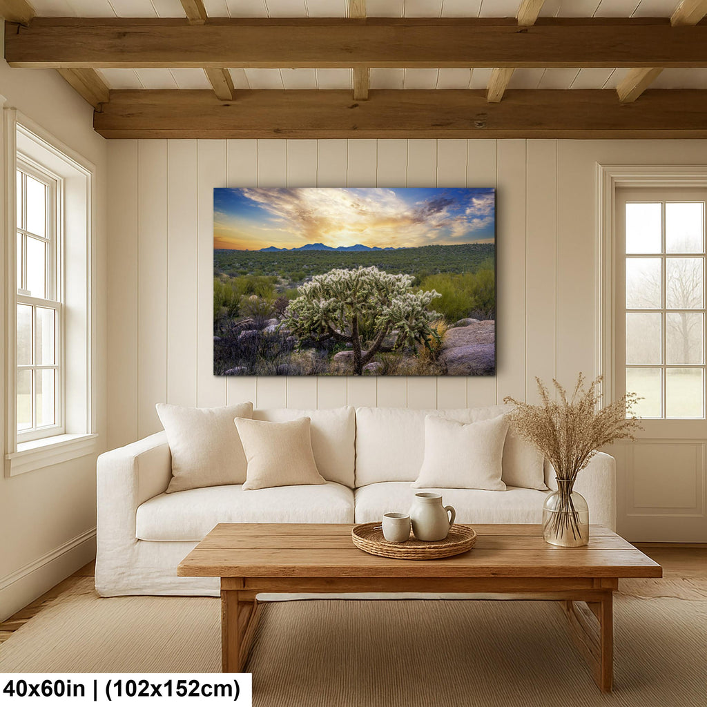 Sonoran Desert Sunset with Cholla Cactus - Catalina State Park Tucson Arizona Photography Print