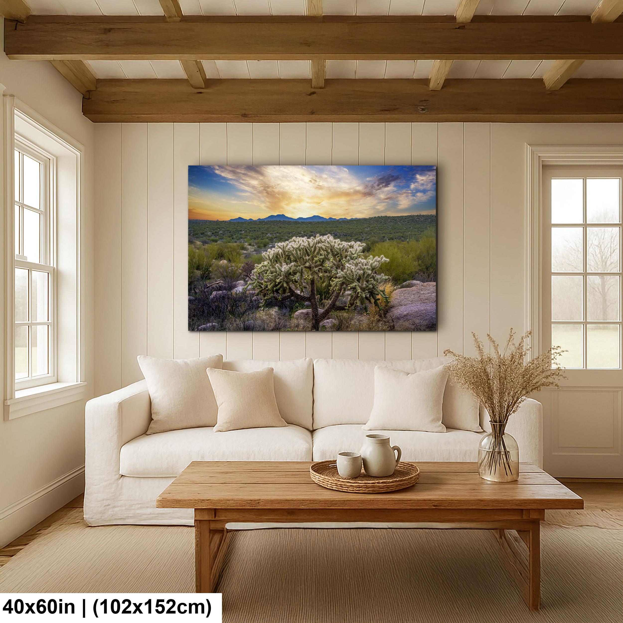 Sonoran Desert Sunset with Cholla Cactus - Catalina State Park Tucson Arizona Photography Print
