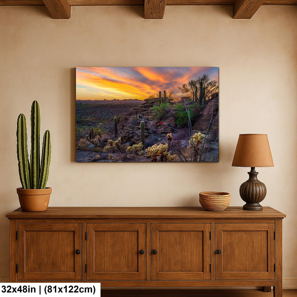 Sonoran Desert Sunset Overlook with Saguaros and Cholla Tucson Arizona Photography Print