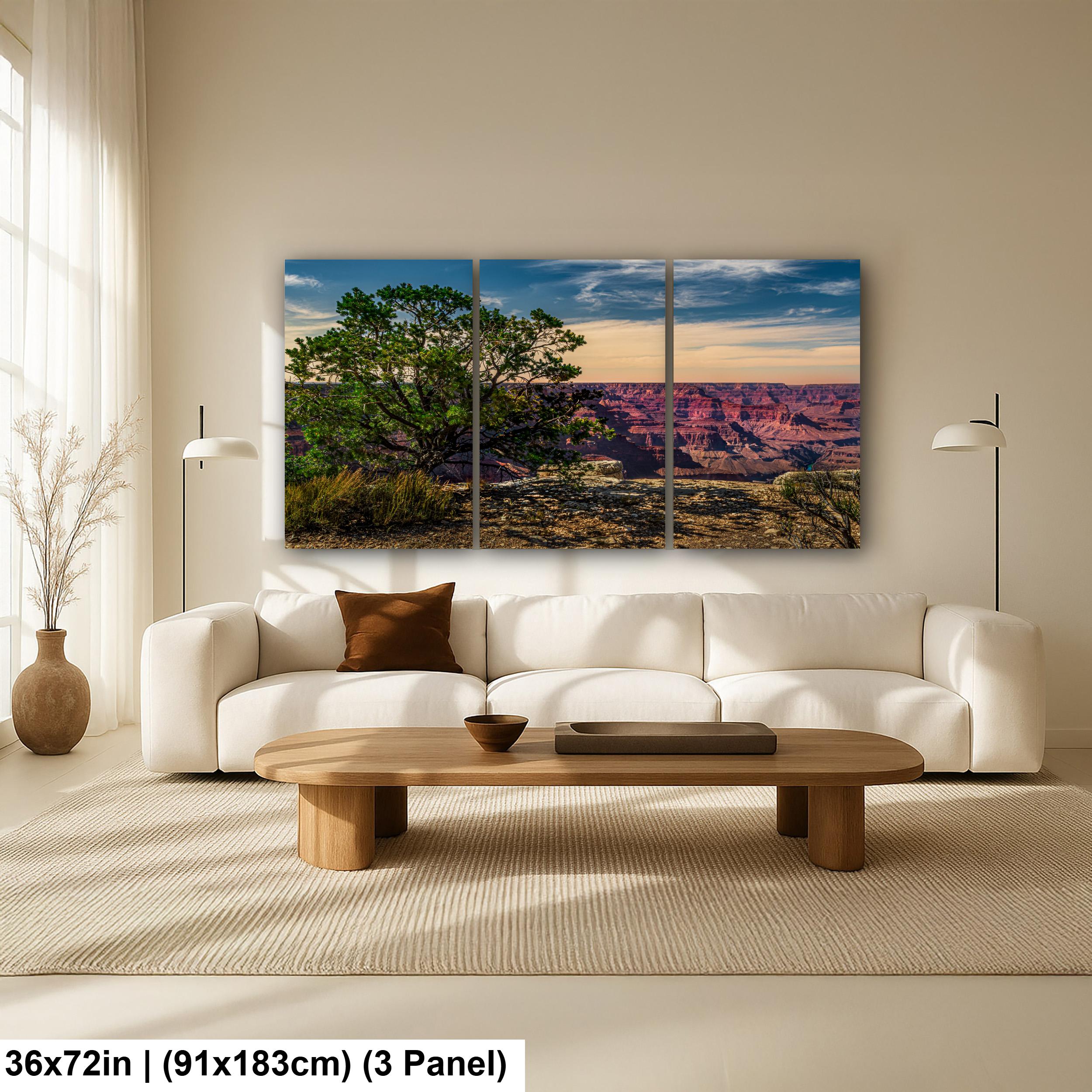 Juniper Tree Overlooking Grand Canyon, South Rim Arizona Wall Art, Canyon Landscape Photography Print
