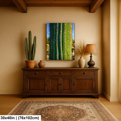 Saguaro Cactus Close-Up Photography Print, Oro Valley Arizona Desert Wall Art, Southwestern Decor, Green Cactus Spines