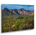 Lost Dutchman State Park Saguaro Overlooking Superstition Mountains Red Rock Cliffs - Apache Junction Arizona Photography Print
