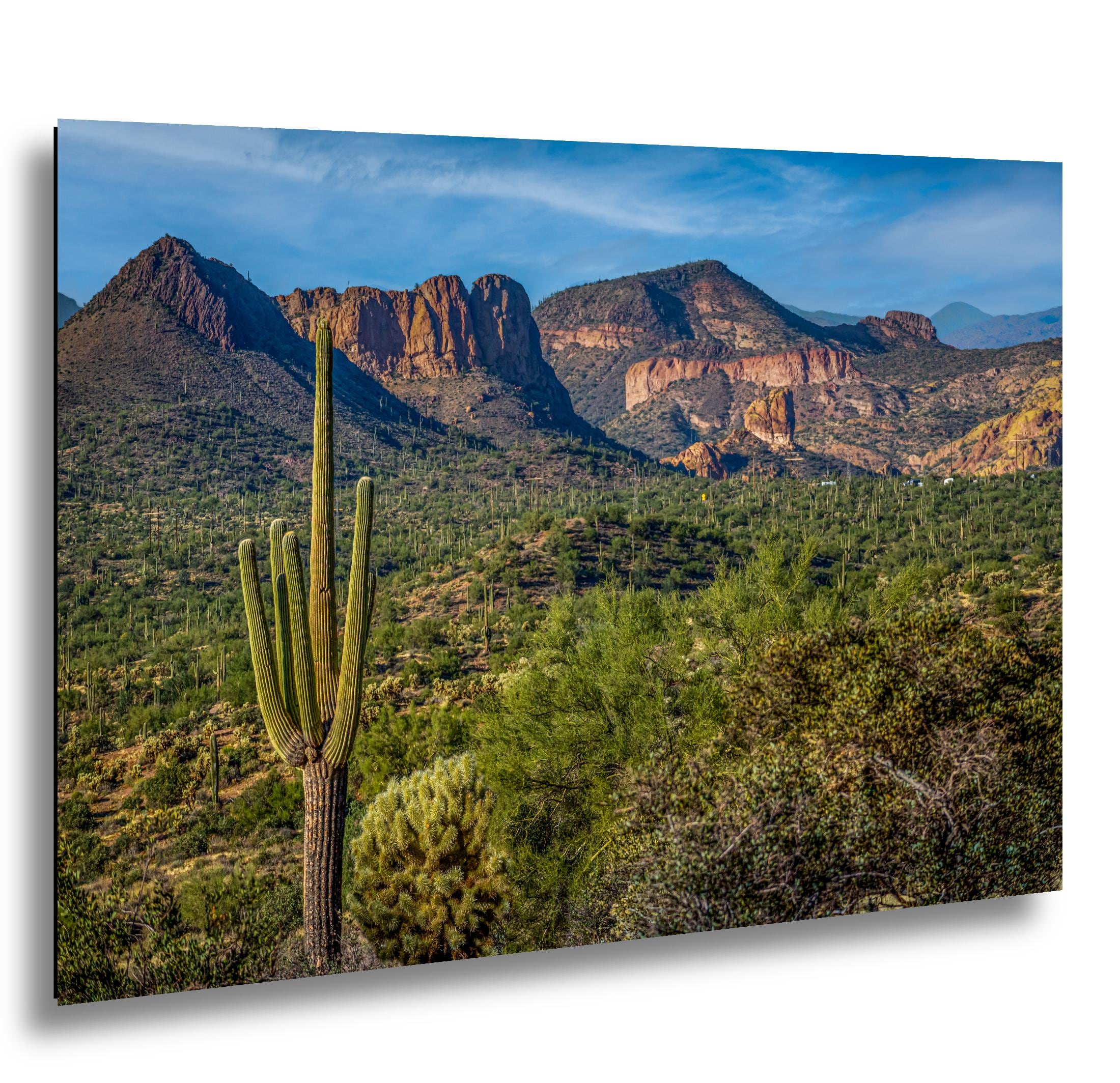 Lost Dutchman State Park Saguaro Overlooking Superstition Mountains Red Rock Cliffs - Apache Junction Arizona Photography Print