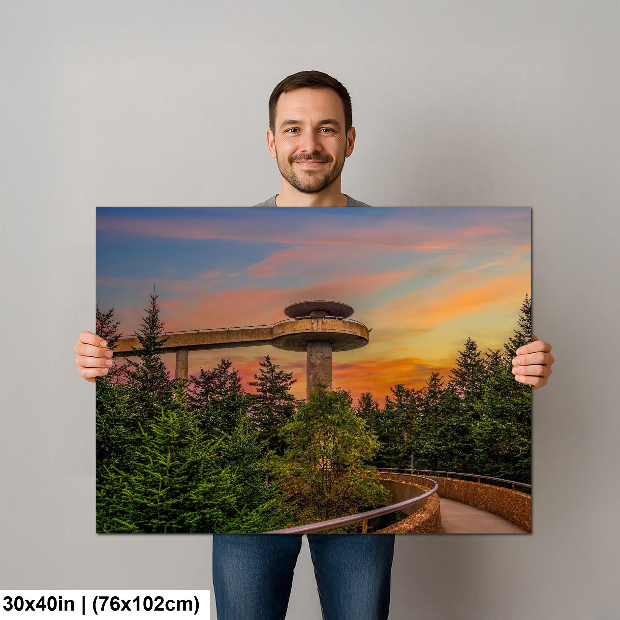 Observation Tower: Great Smoky Mountains National Park TN NC Photo Wall Art