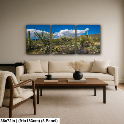 Sonoran Desert Spring Wildflowers with Saguaros - Sabino Canyon Tucson Arizona Photography Print