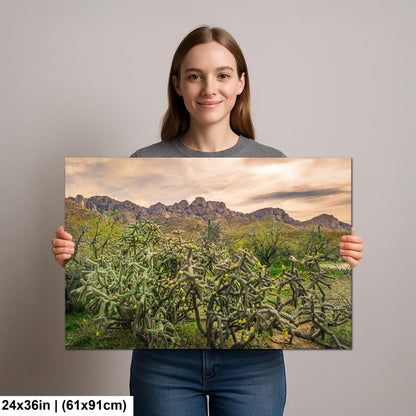 Catalina State Park Blooming Cholla - Tucson Arizona Desert Mountains Photography Print