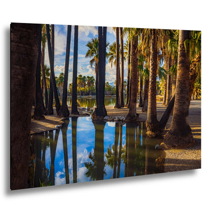 Agua Caliente Park Palm Tree Oasis Reflections - Tucson Arizona Photography Print