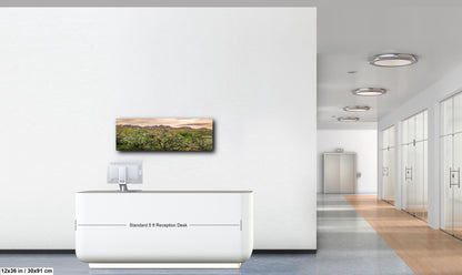 Catalina State Park Blooming Cholla - Tucson Arizona Desert Mountains Photography Print