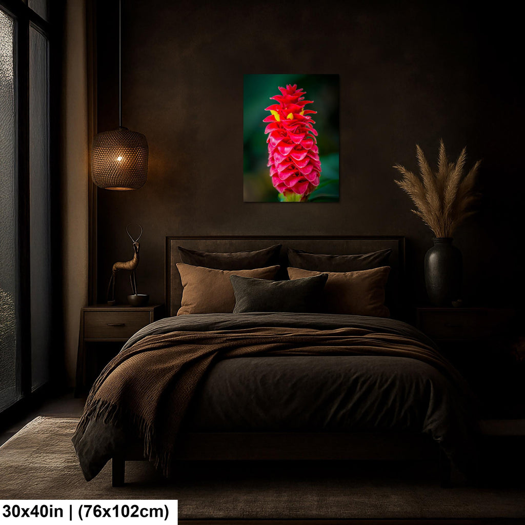 Crimson Spiral: Spiral Ginger Tropical Flower Botanical Photo Wall Art