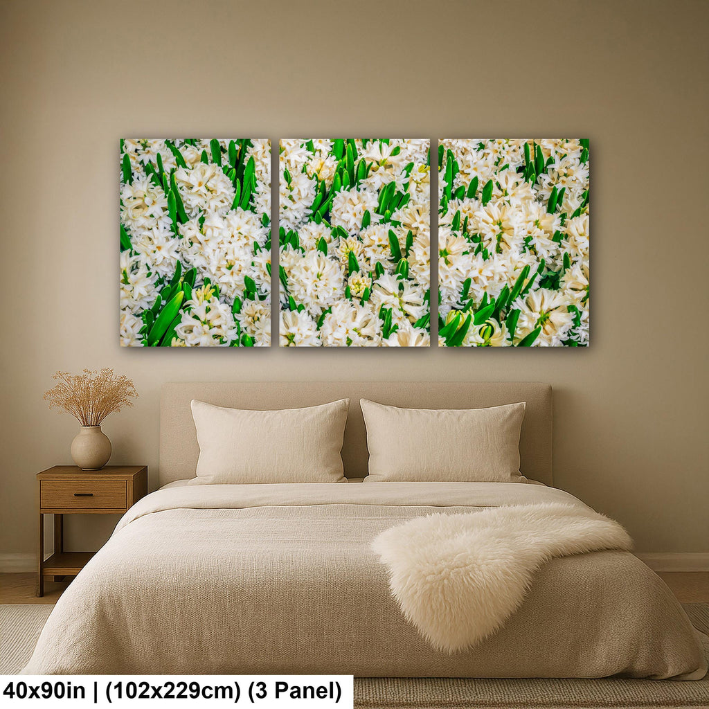 Spring Whites: White Hyacinth Flowers Botanical Photography Wall Art