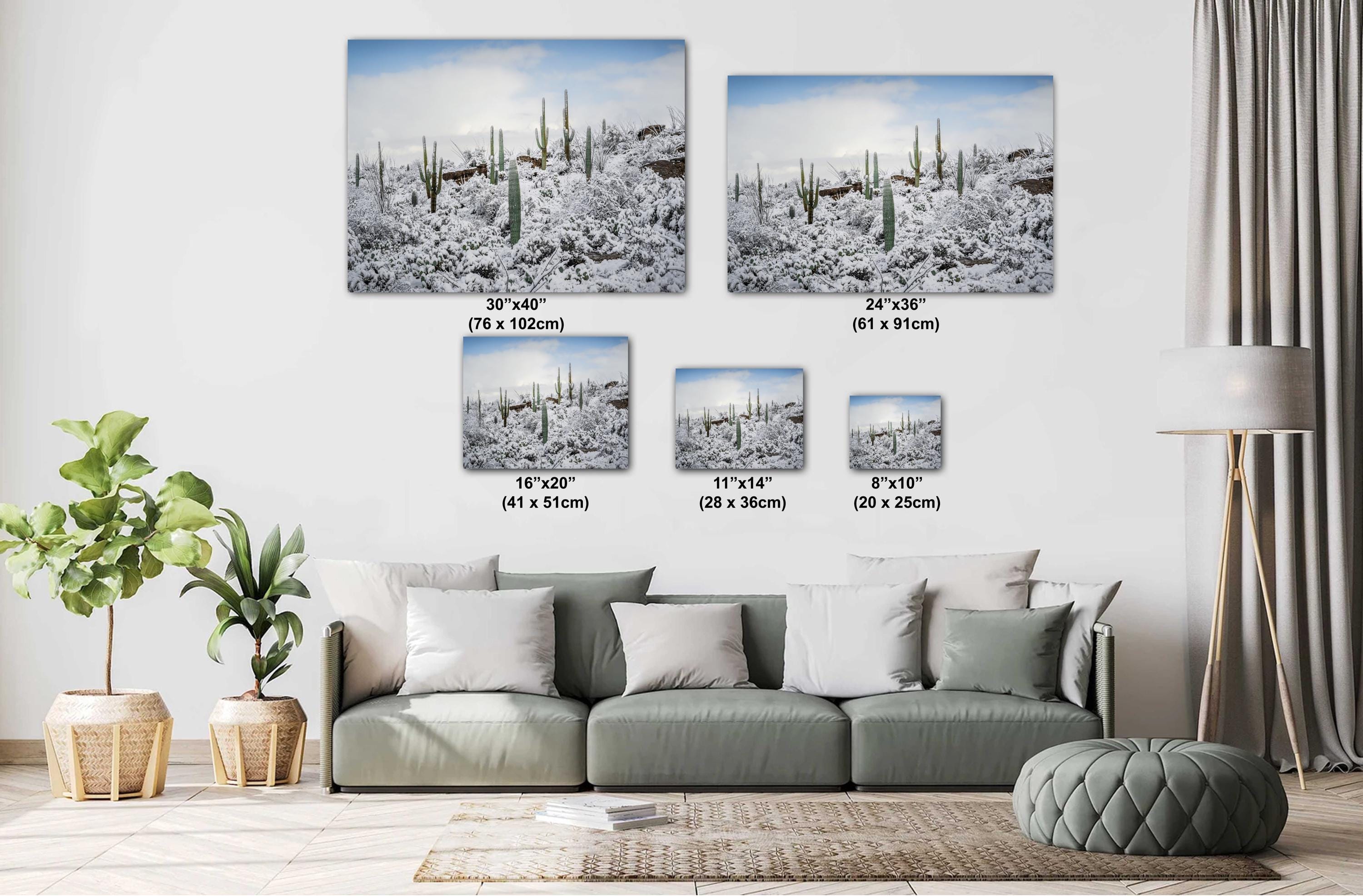Saguaro National Park Winter Snow Cactus Landscape Art Print