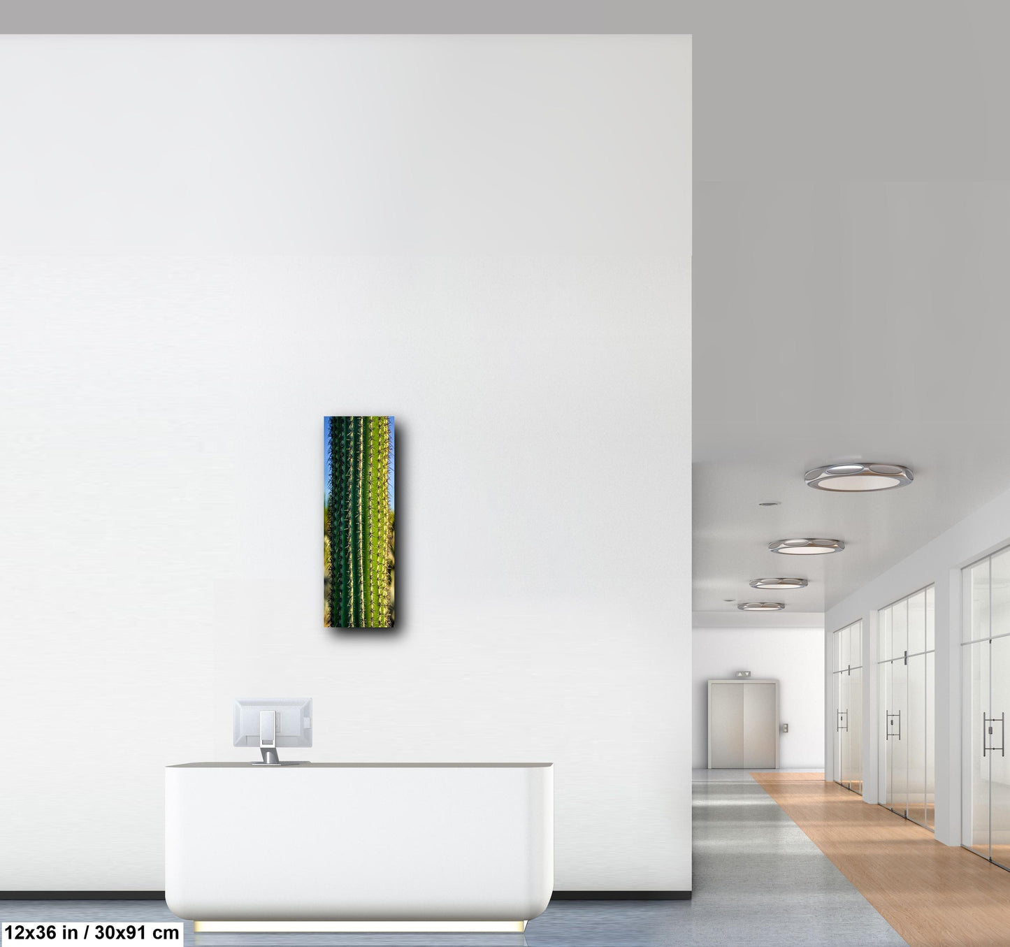 Saguaro Cactus Close-Up Photography Print, Oro Valley Arizona Desert Wall Art, Southwestern Decor, Green Cactus Spines