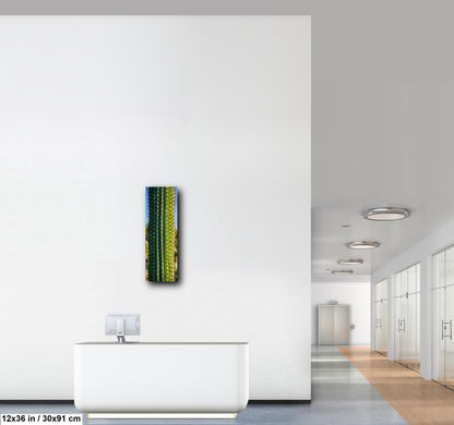 Saguaro Cactus Close-Up Photography Print, Oro Valley Arizona Desert Wall Art, Southwestern Decor, Green Cactus Spines