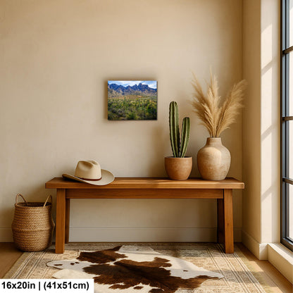 Catalina State Park Saguaros with Rocky Mountain Peaks - Tucson Arizona Sonoran Desert Photography Print