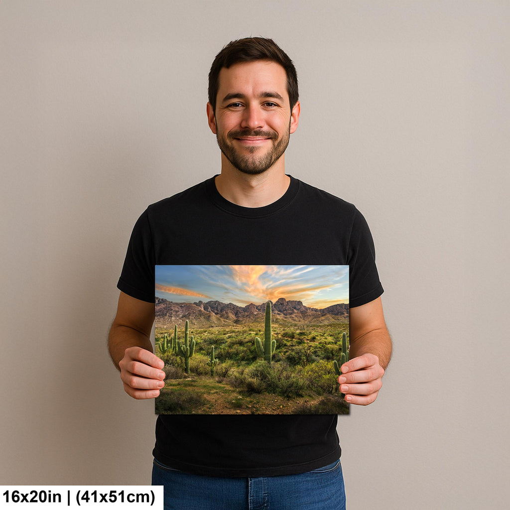 Santa Catalina Mountains with Saguaros Photography Print, Catalina State Park Tucson Arizona Desert Landscape Wall Art