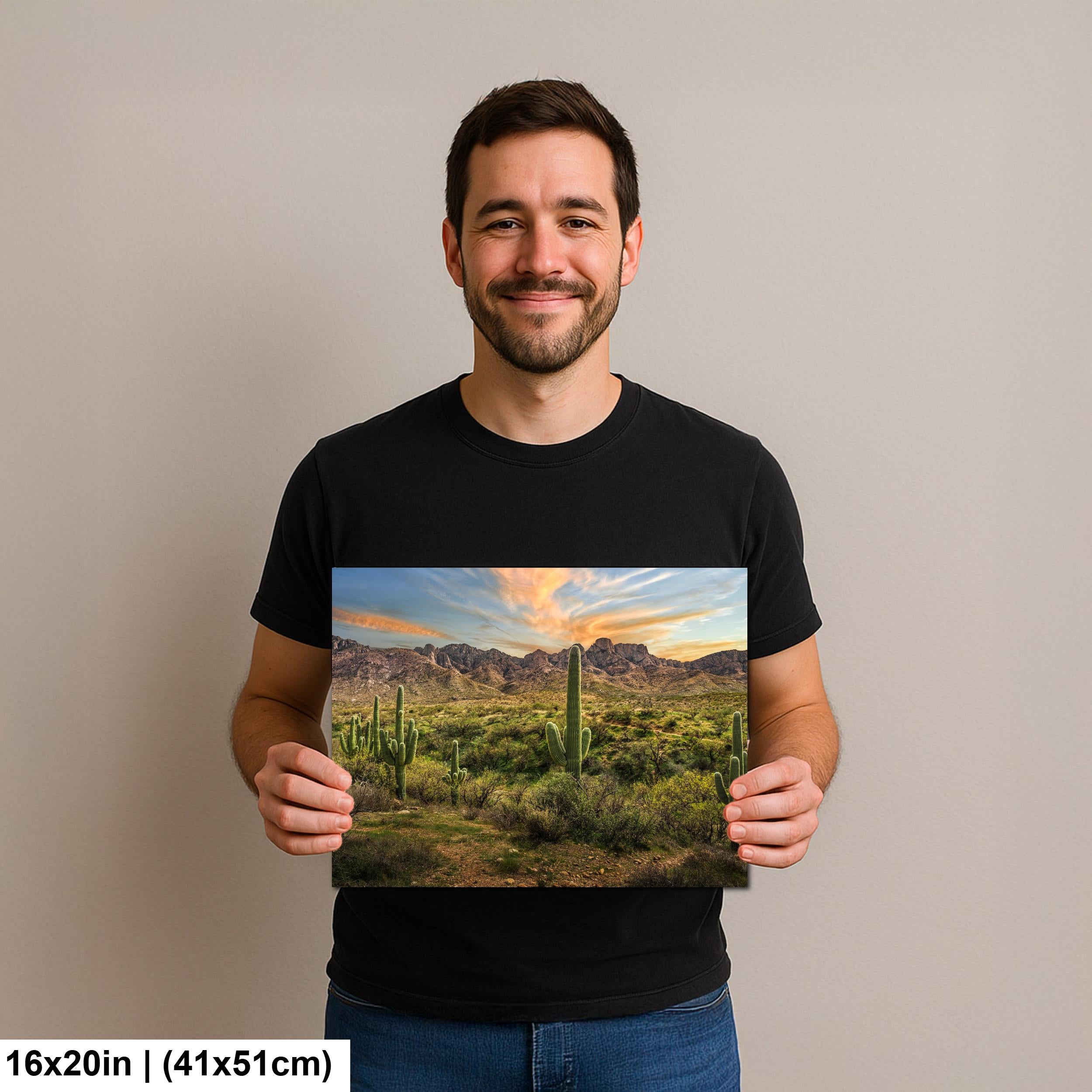 Santa Catalina Mountains with Saguaros Photography Print, Catalina State Park Tucson Arizona Desert Landscape Wall Art