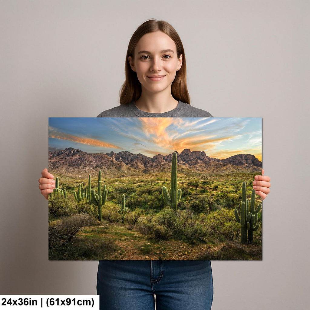 Santa Catalina Mountains with Saguaros Photography Print, Catalina State Park Tucson Arizona Desert Landscape Wall Art