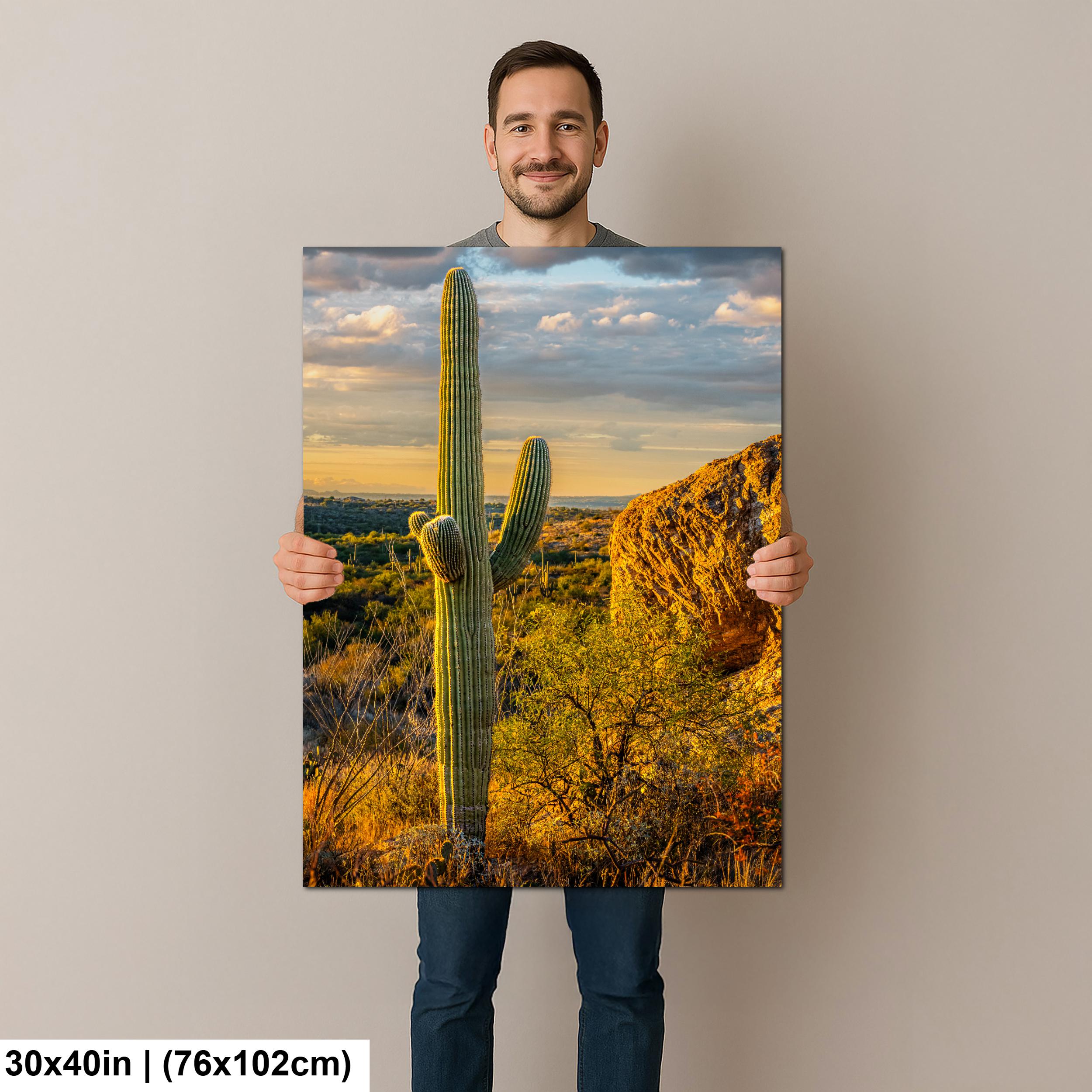 Golden Hour Saguaro Cactus, Sonoran Desert Arizona Sunset Wall Art, Southwestern Landscape Photography Print
