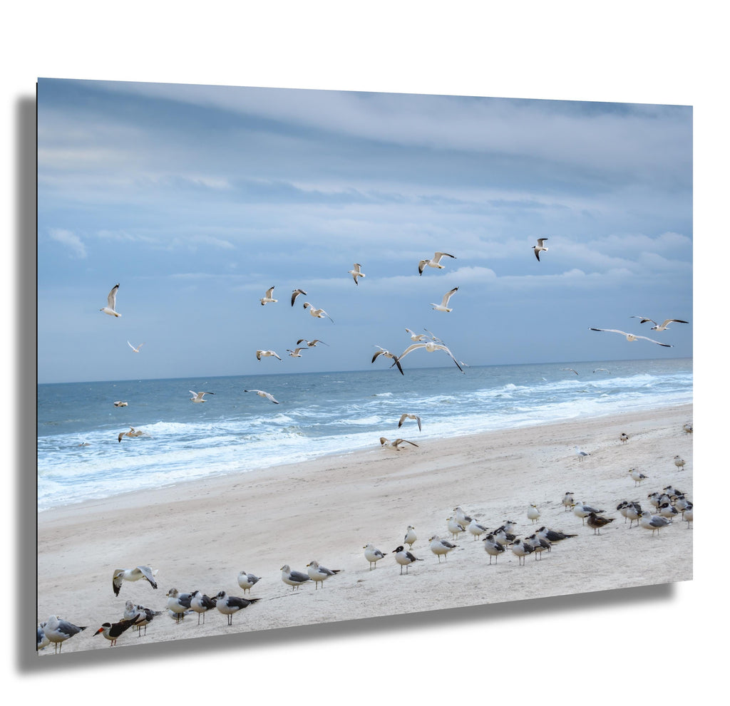 Flock of seagulls flying over the ocean waves on Amelia Island's sandy beach under a cloudy sky.