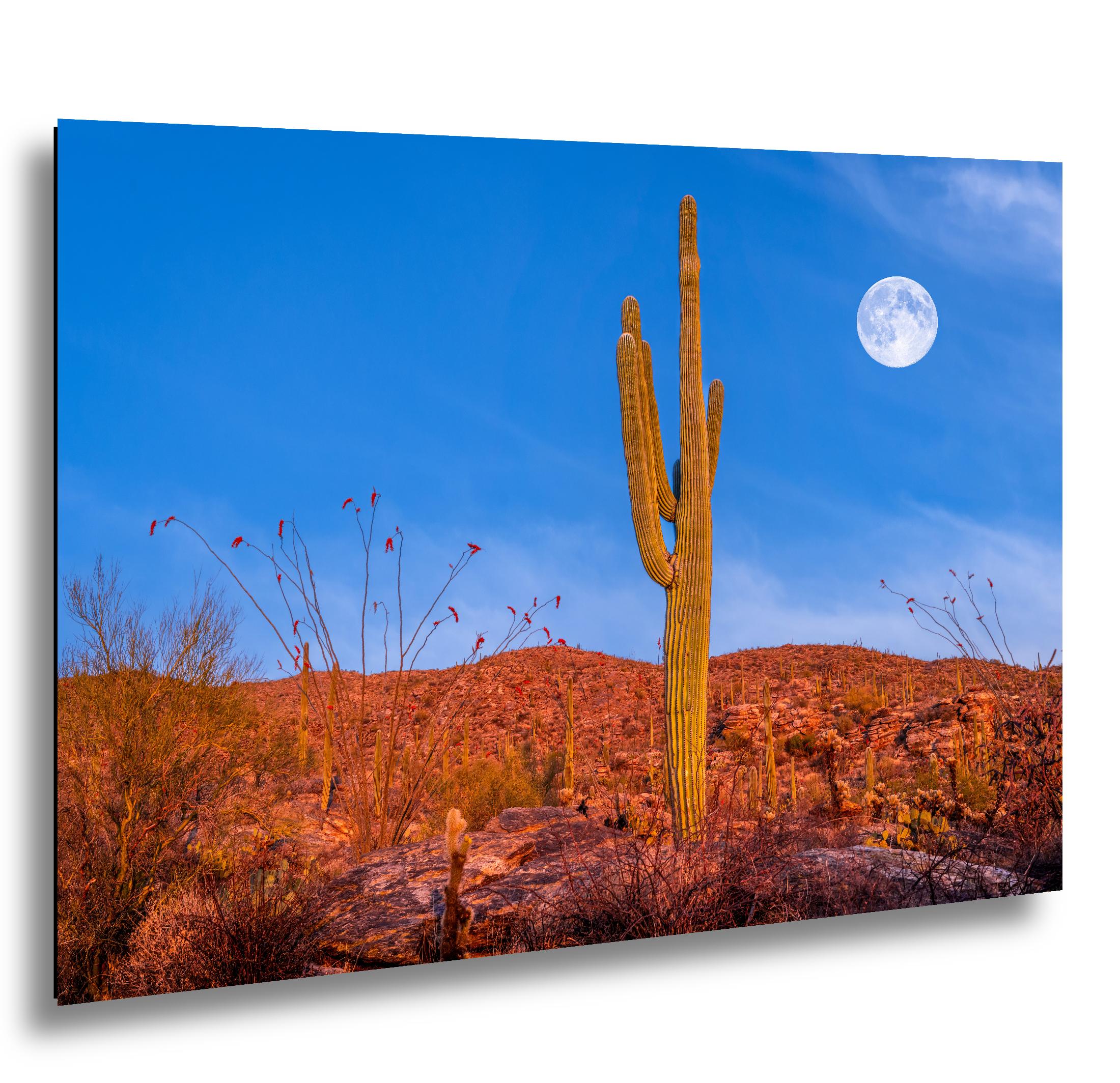Sonoran Desert Full Moon with Saguaro Cactus Tucson Arizona Photography Print