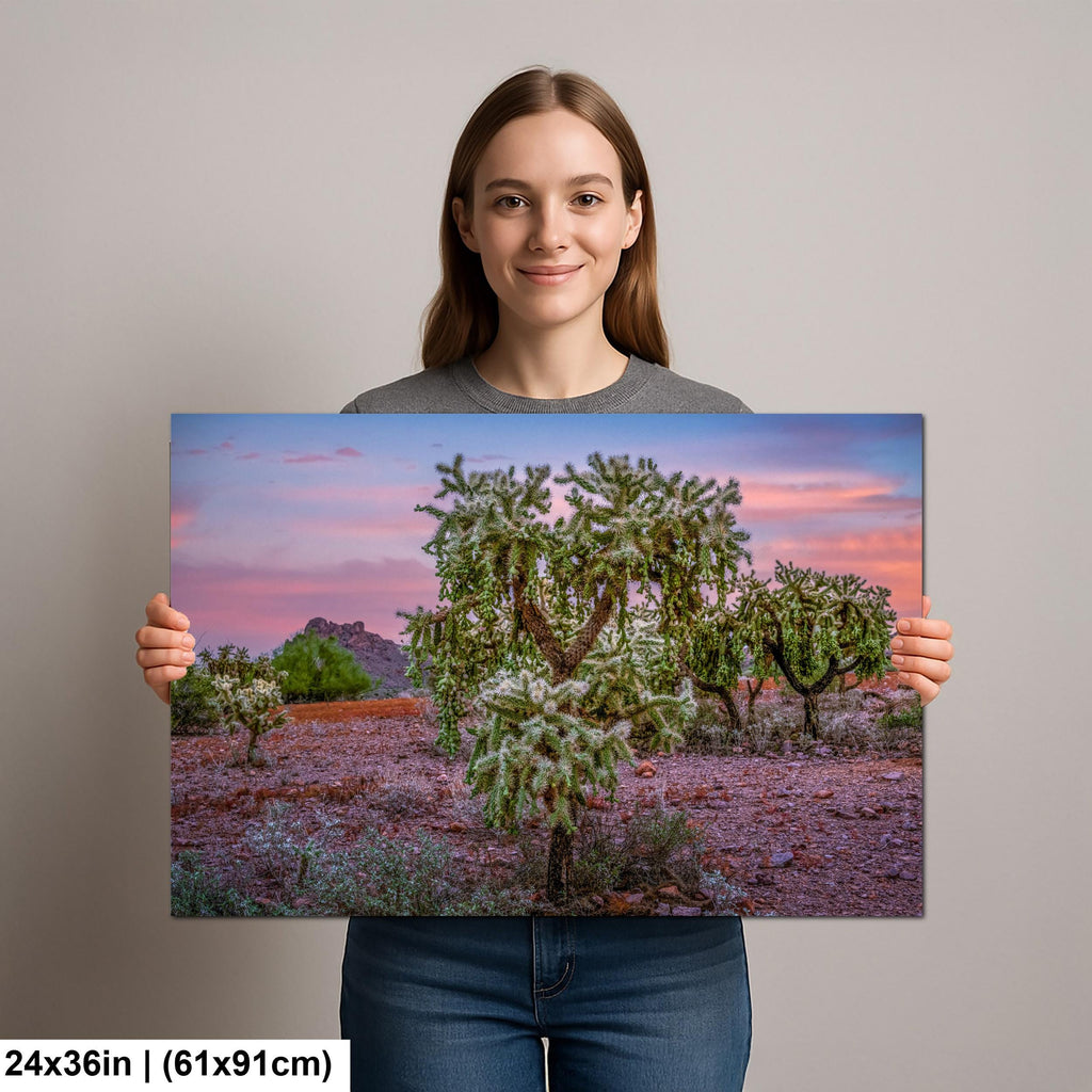 Cholla Cactus Sunset, Lost Dutchman State Park, Apache Junction Arizona Photography Wall Art
