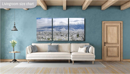 Saguaro National Park Print – Winter Saguaro Desert Wall Art With Snow