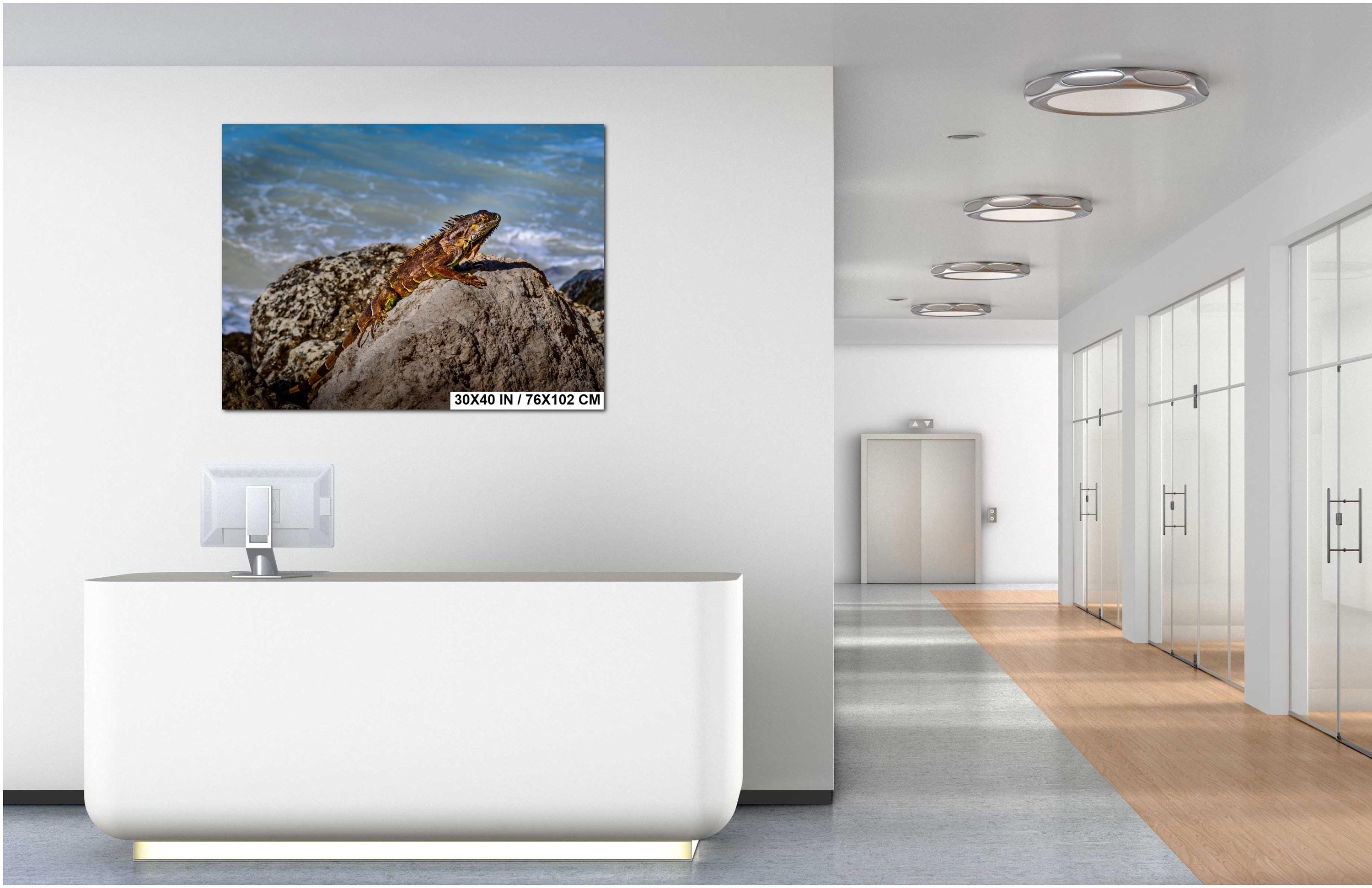 Key West Iguana on Coastal Rocks Fine Art Photography Print, Florida Wildlife Photo, Ocean Shore Nature Decor Reptile Wall Art Metal Canvas