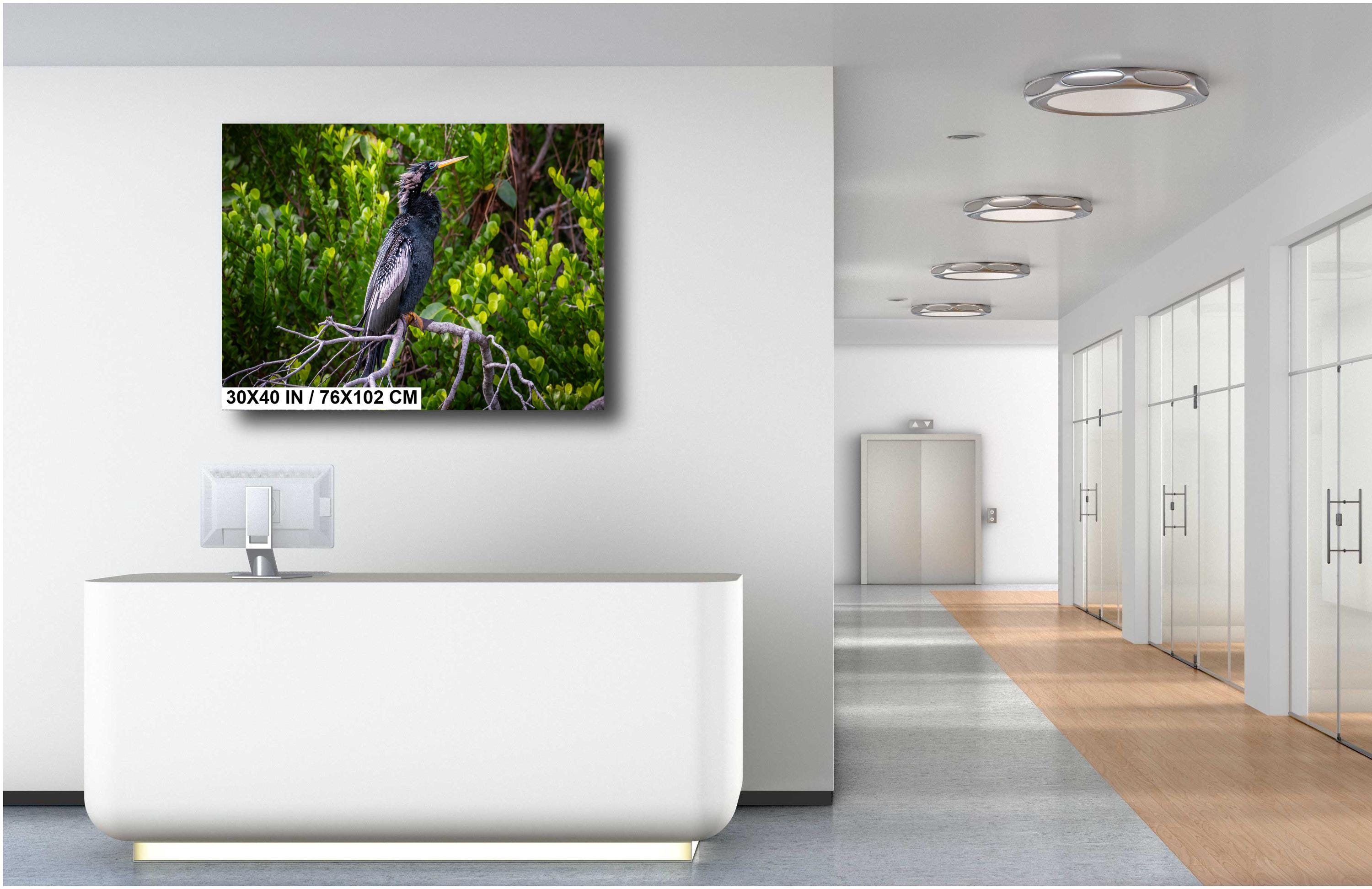 A print wall art depicting a black Anhinga bird perched on branches in a wetland setting, with vibrant green foliage in the background.