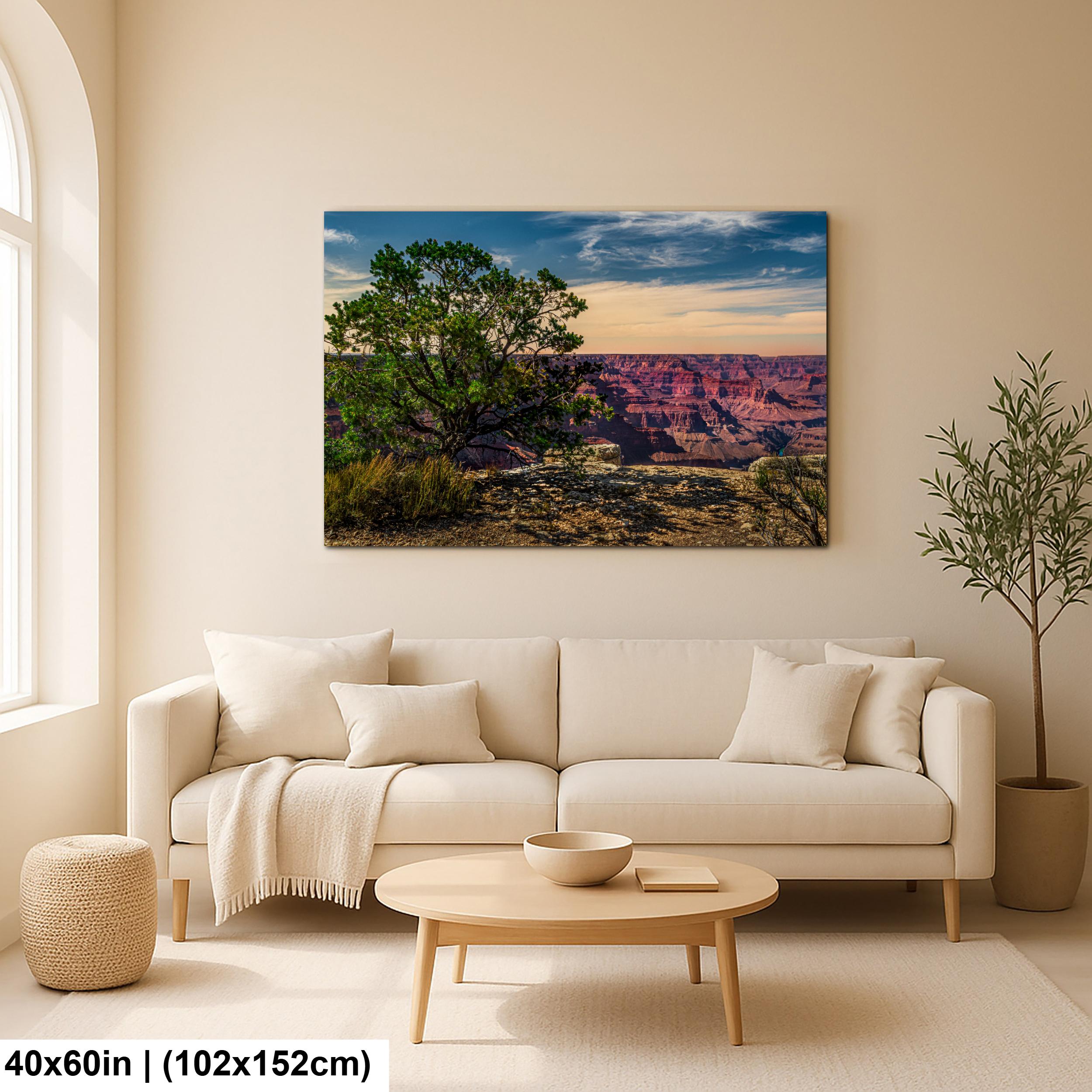 Juniper Tree Overlooking Grand Canyon, South Rim Arizona Wall Art, Canyon Landscape Photography Print