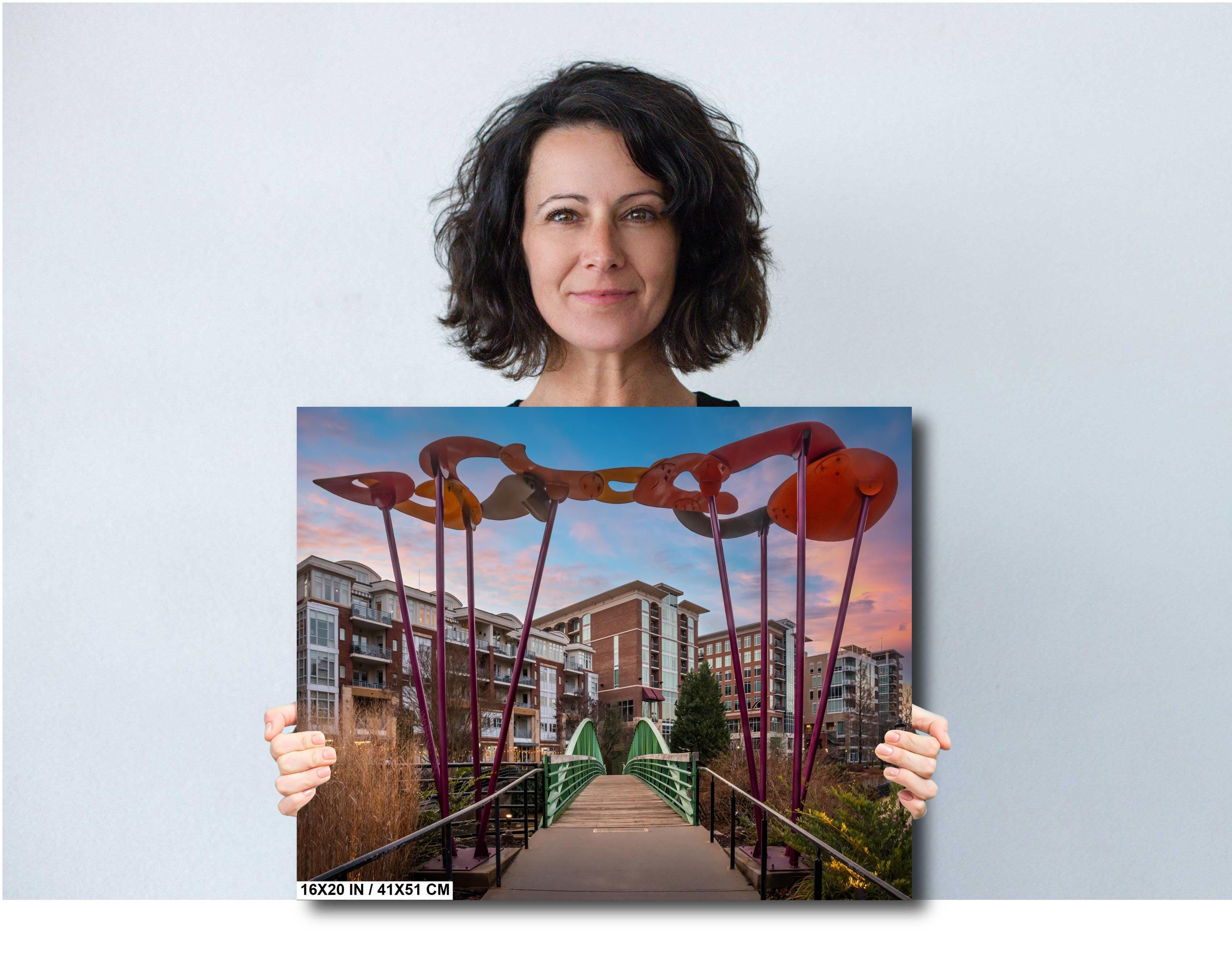 Greenville’s Liberty Pedestrian Bridge: Falls Park Greenville South Carolina Print Wall Art Photography Aluminum/Acrylic/Metal/Canvas