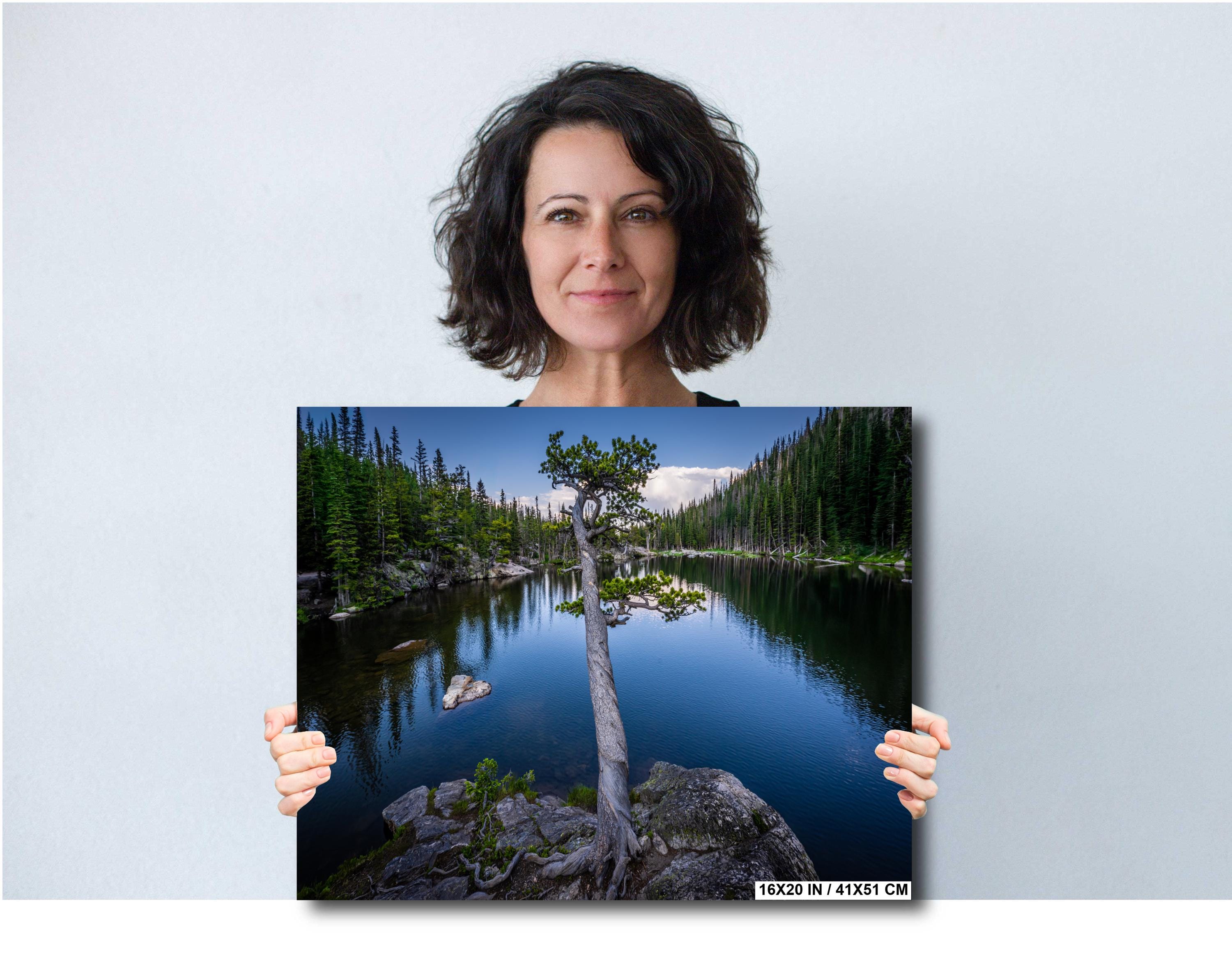 Dream Lake Twisted Tree Print: Rocky Mountain National Park Photography