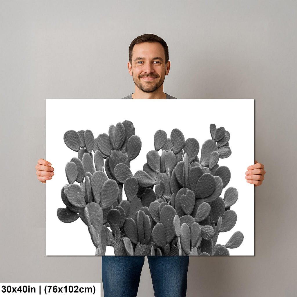 Black and White Bunny Ear Cactus Modern Desert Photography Wall Art