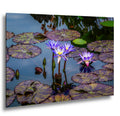 Purple Star Lotus: Botanical Water Lily Flower Pond Photography Wall Art