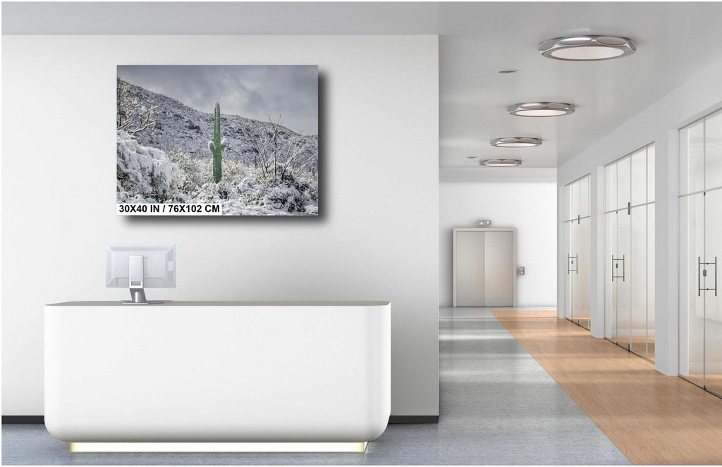 Saguaro Cactus in Snow Print: Tucson Arizona Winter Wall Art
