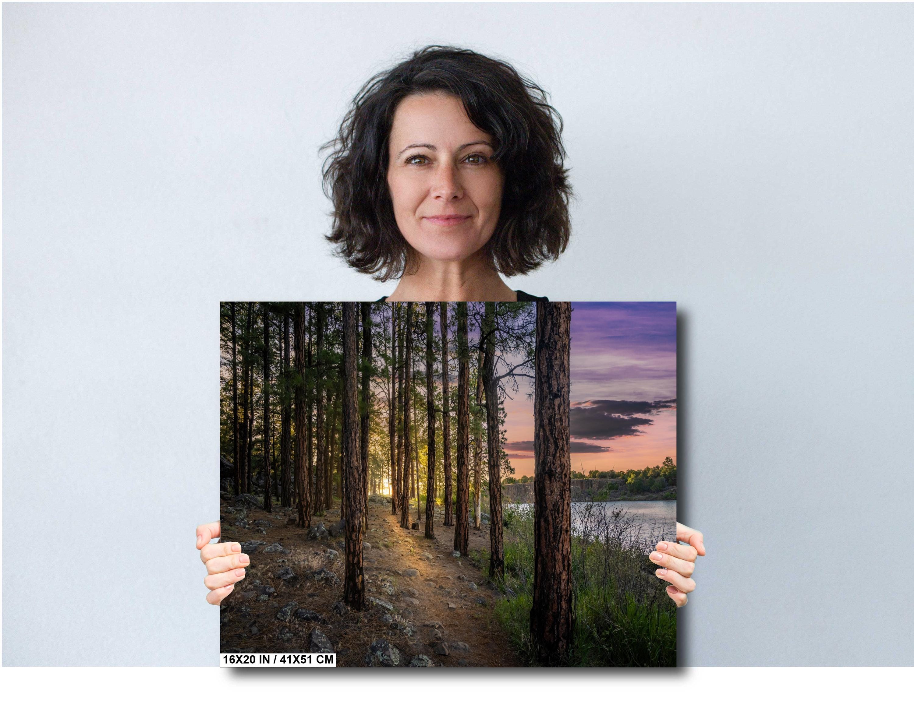 Show Low Lake Arizona: Tranquil Lakeside Pines Photography Wall Art
