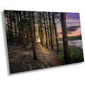 A framed print depicting a tranquil lakeside trail with tall pine trees on either side, set against a backdrop of a calm lake and a colorful sky.