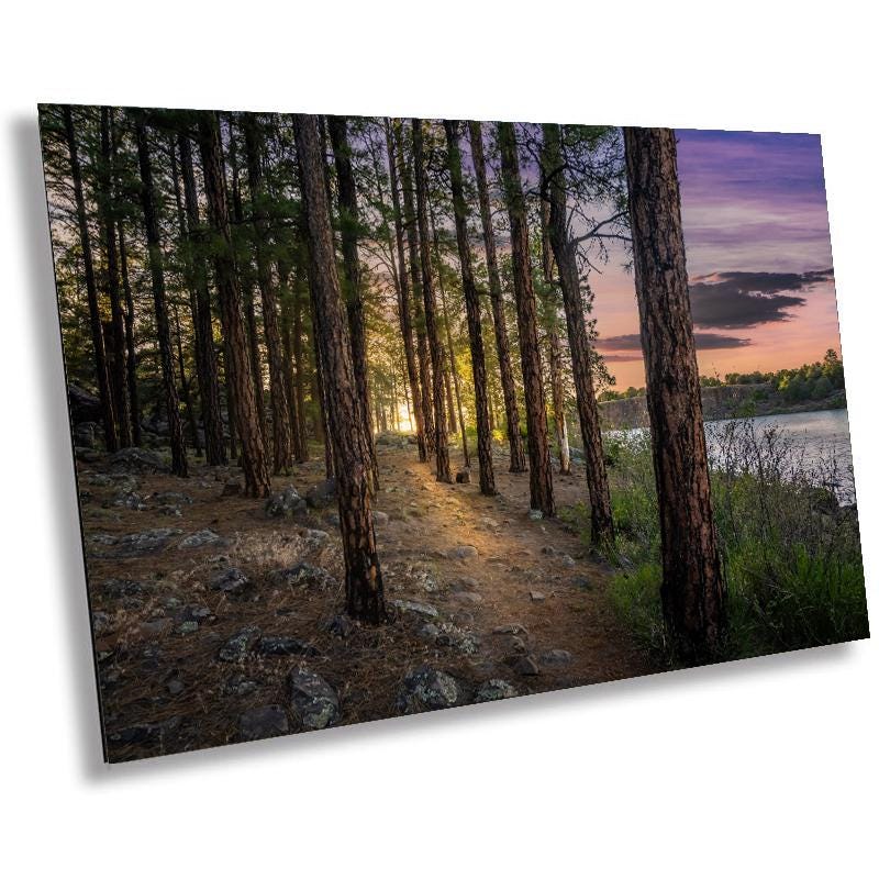 A framed print depicting a tranquil lakeside trail with tall pine trees on either side, set against a backdrop of a calm lake and a colorful sky.