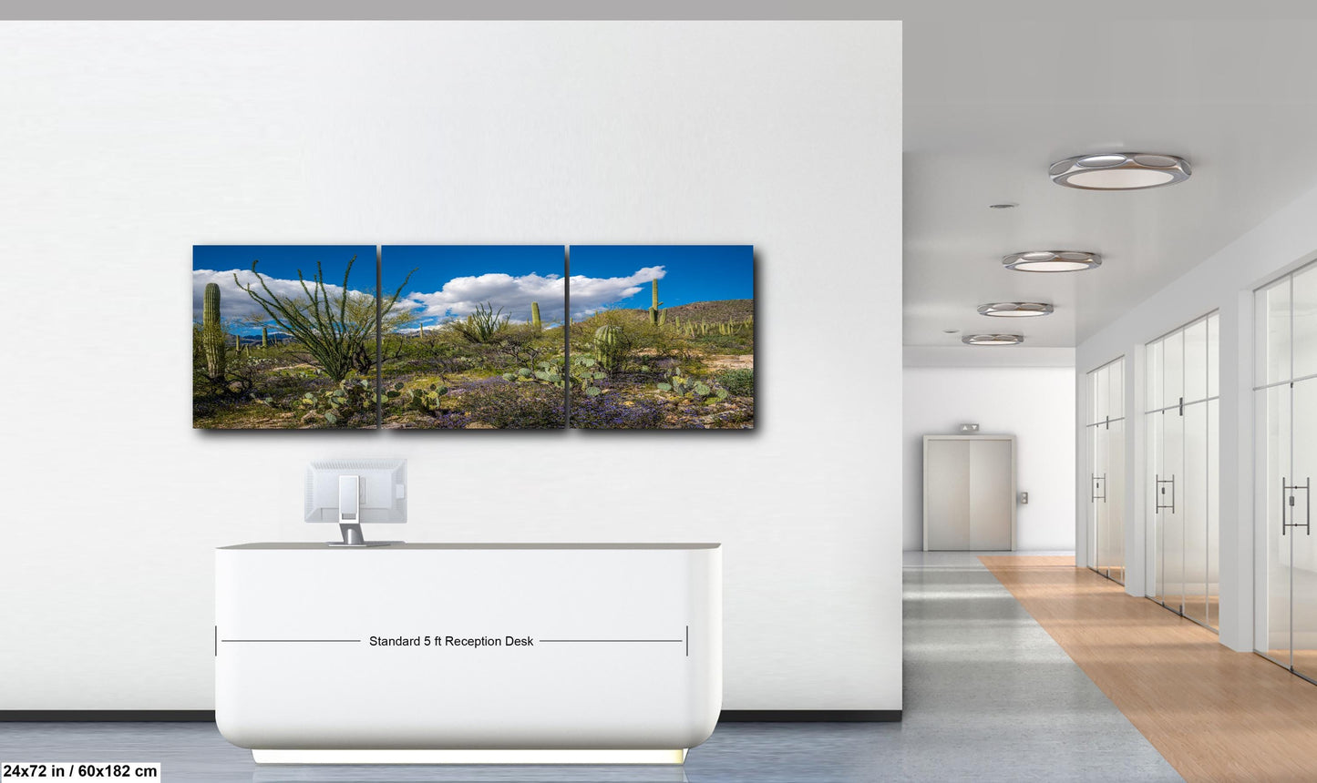 Sonoran Desert Spring Wildflowers with Saguaros - Sabino Canyon Tucson Arizona Photography Print