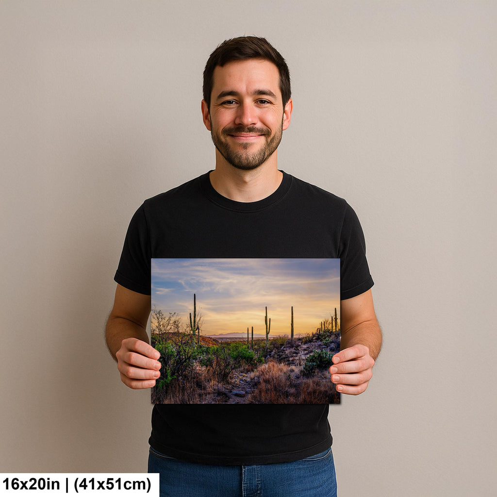 Sonoran Desert Valley Sunset with Saguaros - Saguaro National Park East Tucson Photography Print