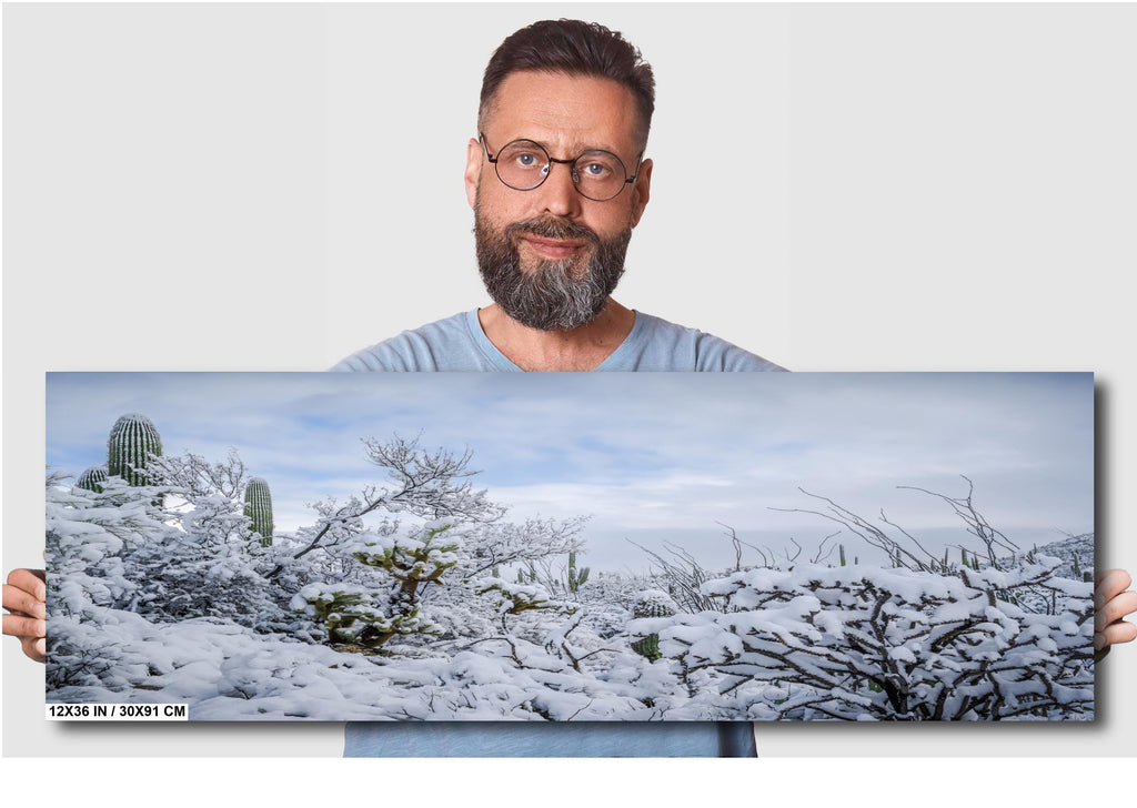 Saguaro National Park Print – Snow Covered Cacti Art | Desert Wall Art Canvas