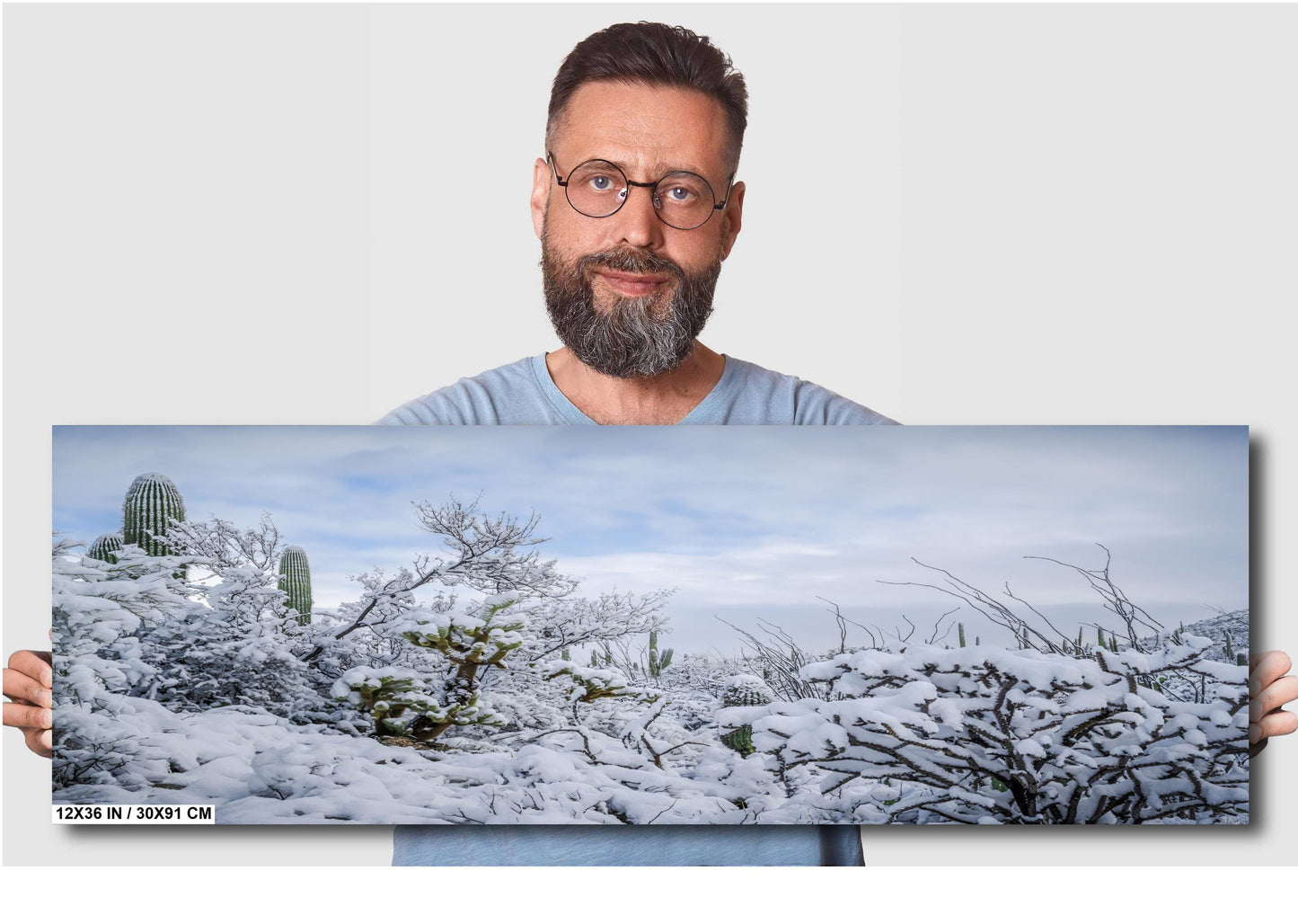 Saguaro National Park Print – Snow Covered Cacti Art | Desert Wall Art Canvas