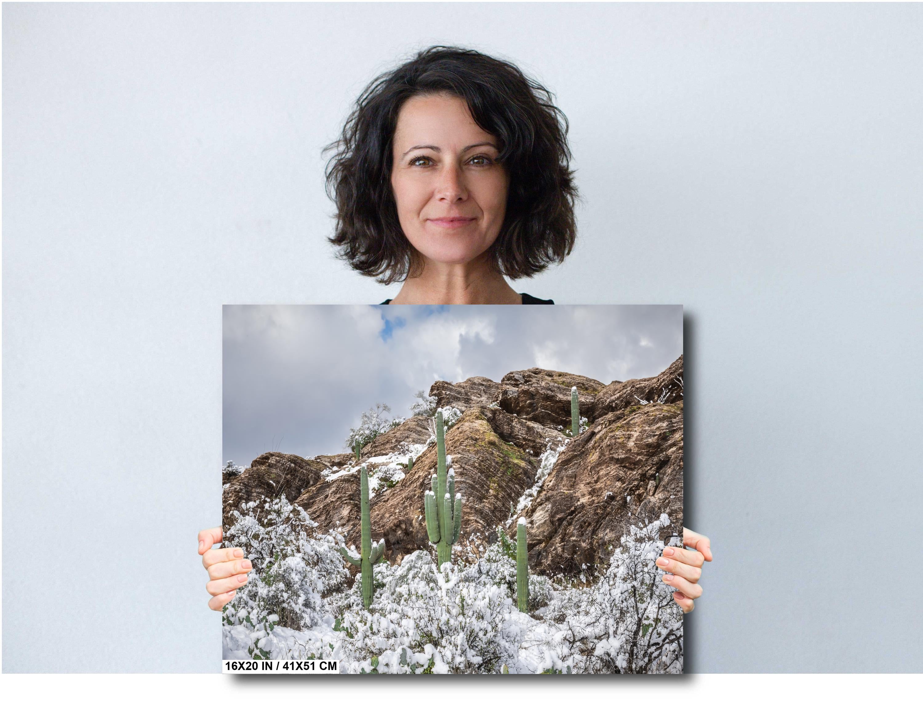 Saguaro National Park Winter Print: Tucson Arizona Desert Snow Scene