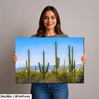Panoramic Saguaro Desert Landscape, Tucson Arizona Photography Print, Southwest Wall Art, Cactus Decor, Desert Mountain View
